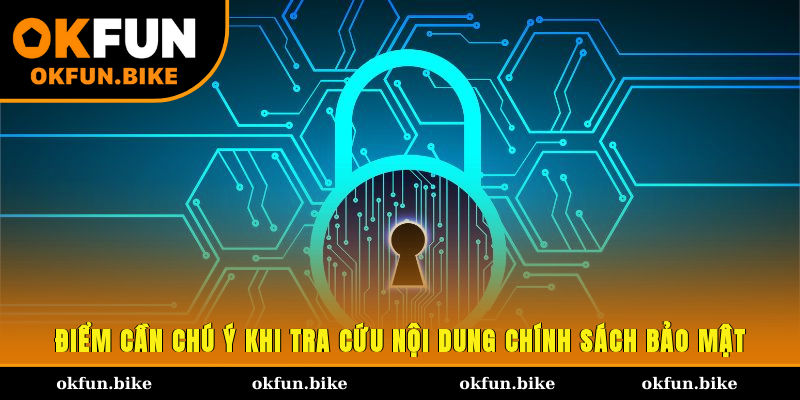 Điểm cần chú ý khi tra cứu nội dung chính sách bảo mật