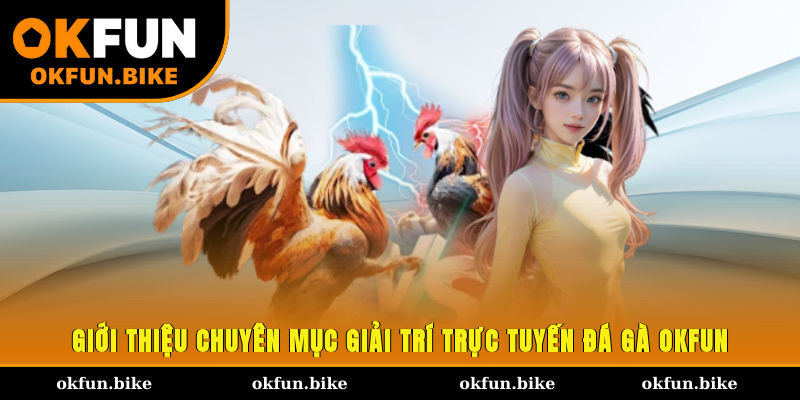 Giới thiệu chuyên mục giải trí trực tuyến đá gà OKFUN