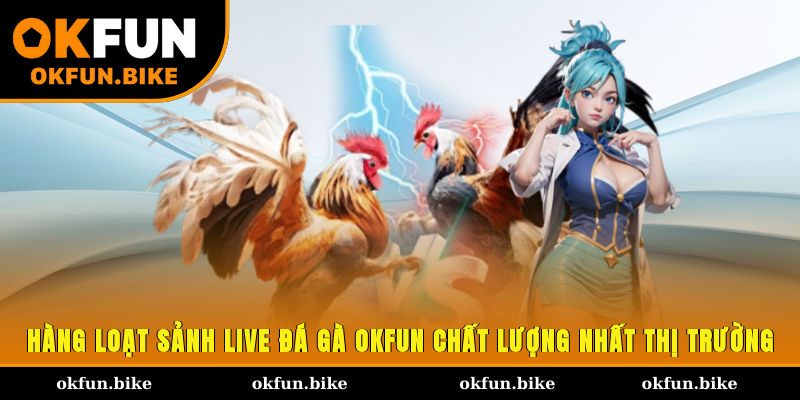 Hàng loạt sảnh live đá gà OKFUN chất lượng nhất thị trường