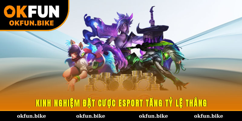 Kinh nghiệm đặt cược Esport tăng tỷ lệ thắng