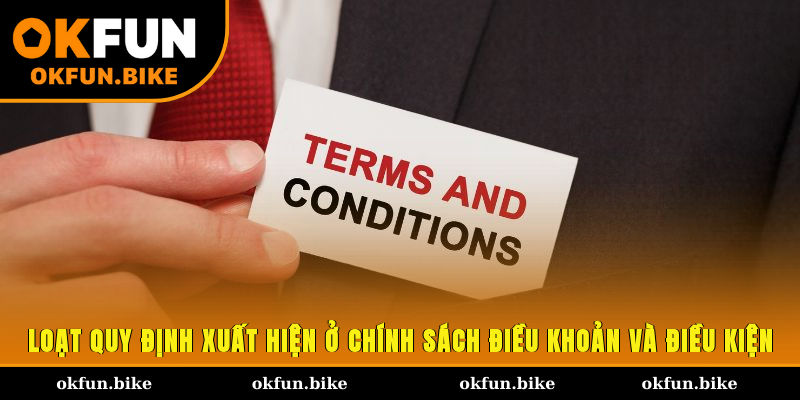 Loạt quy định xuất hiện ở chính sách điều khoản và điều kiện