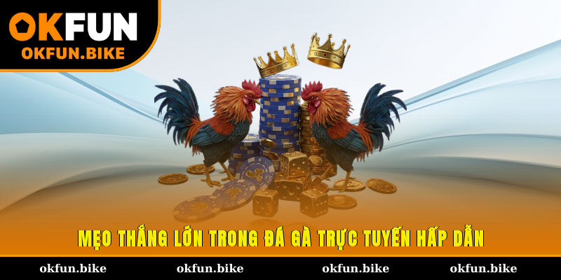 Mẹo thắng lớn trong đá gà trực tuyến hấp dẫn