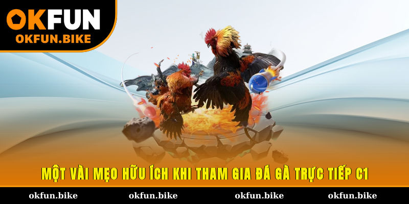 Một vài mẹo hữu ích khi tham gia đá gà trực tiếp C1