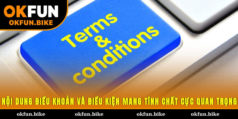 Nội dung điều khoản và điều kiện mang tính chất cực quan trọng