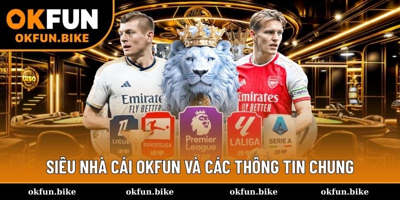 Tổng quan những điều cần quan tâm về nhà cái OKFUN