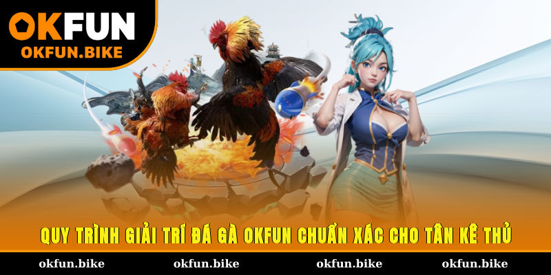 Quy trình giải trí đá gà OKFUN chuẩn xác cho tân kê thủ