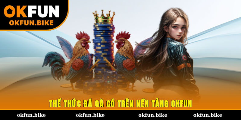 Thể thức đá gà có trên nền tảng OKFUN