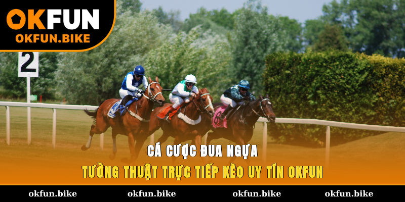 Cá Cược Đua Ngựa