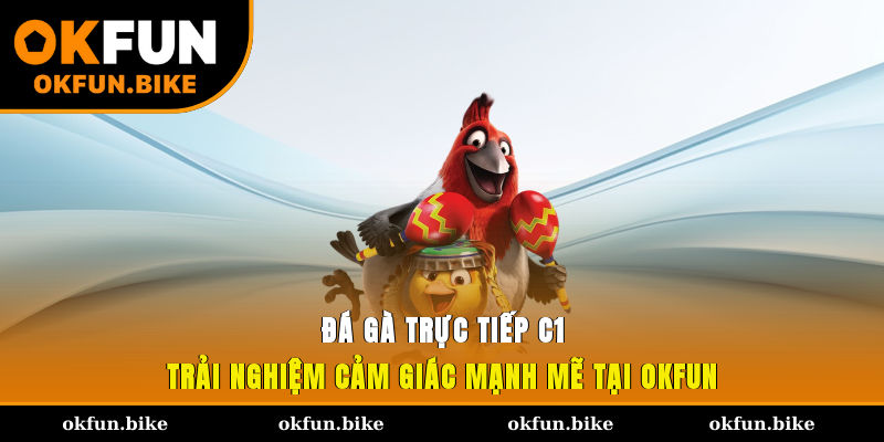 Đá gà trực tiếp C1